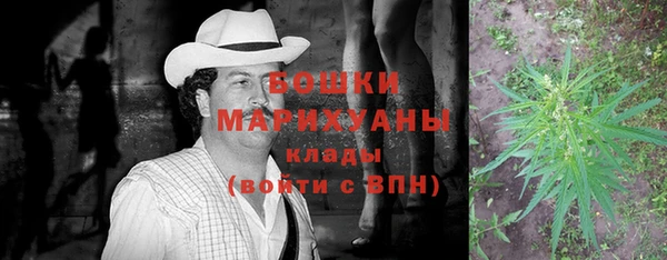 PSILOCYBIN Надым
