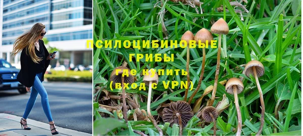 PSILOCYBIN Надым