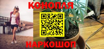 индика Владивосток