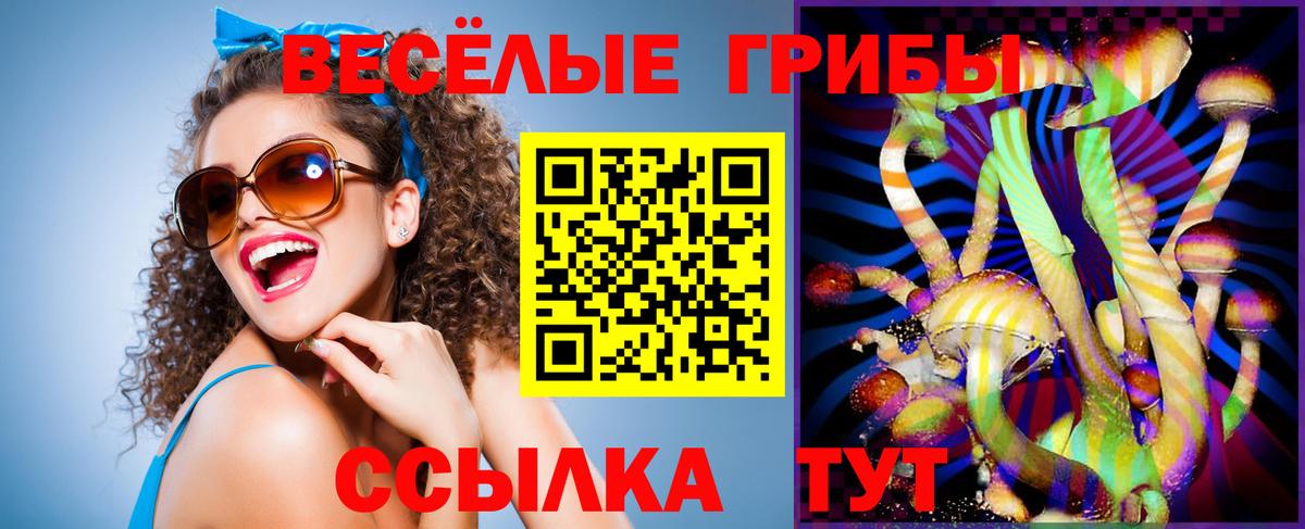 Барнаул  Псилоцибиновые грибы прущие грибы  Вход с VPN  Псилоцибиновые грибы Magic Shrooms 
